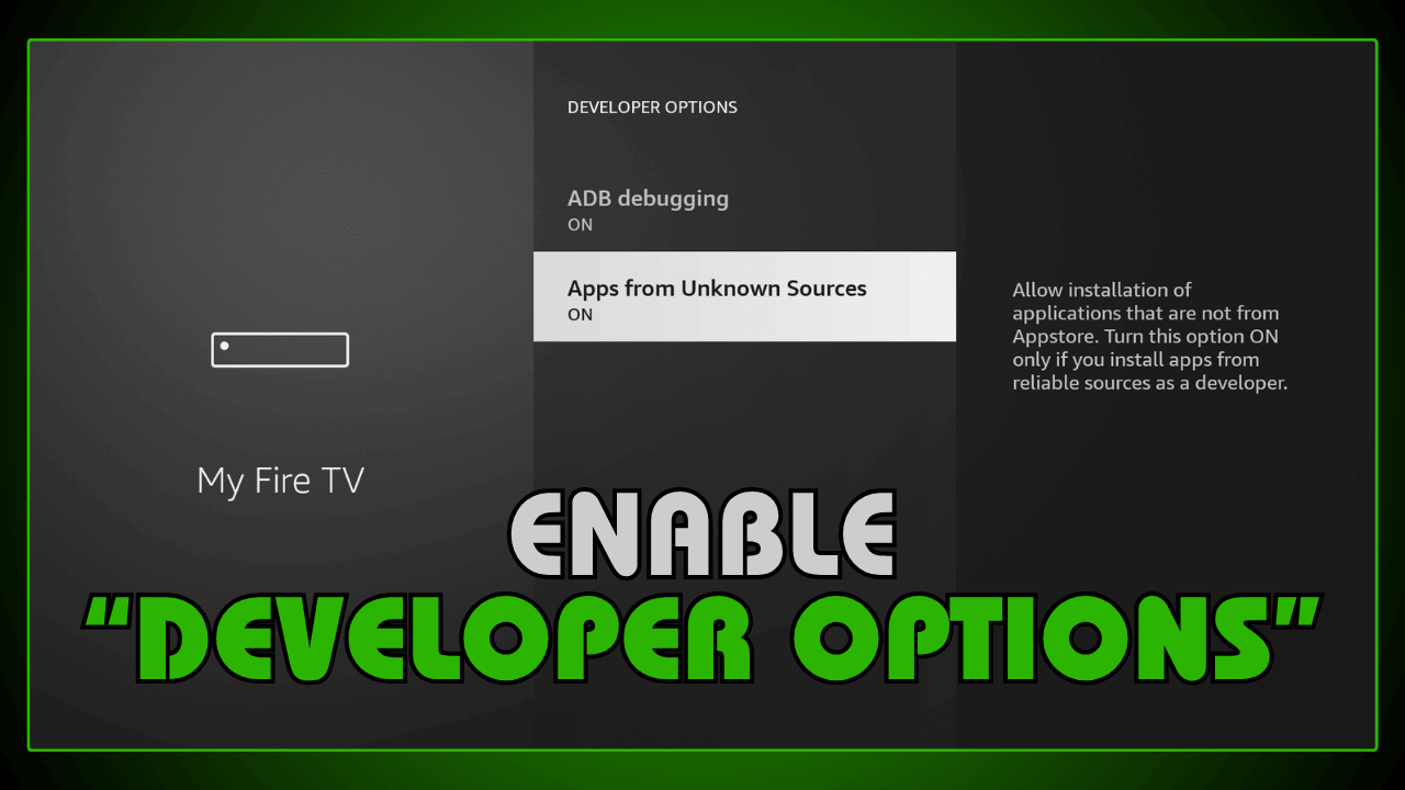 Enable Developer Options